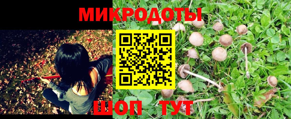 Коркино  Псилоцибиновые грибы Cubensis  Псилоцибиновые грибы Magic Shrooms  Вход с VPN 
